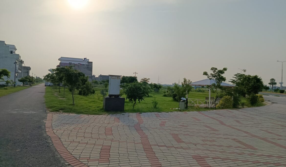 Top Amenities and Facilities