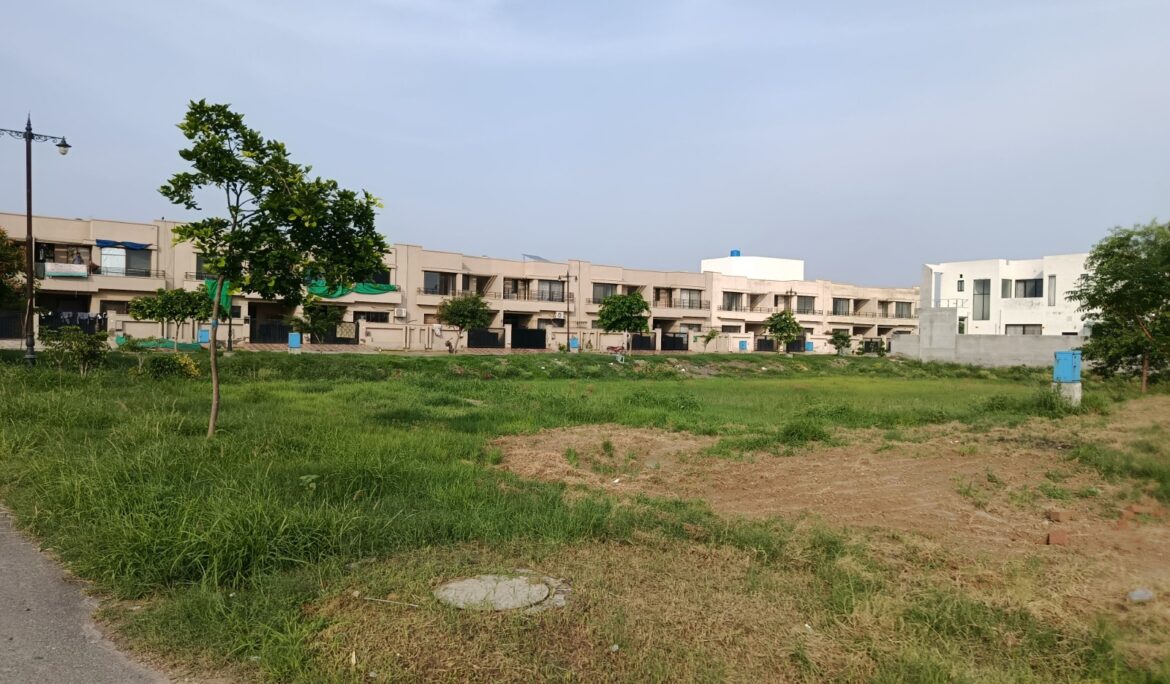 Zaamin City Lahore