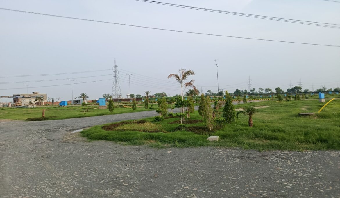 Zaamin City Lahore